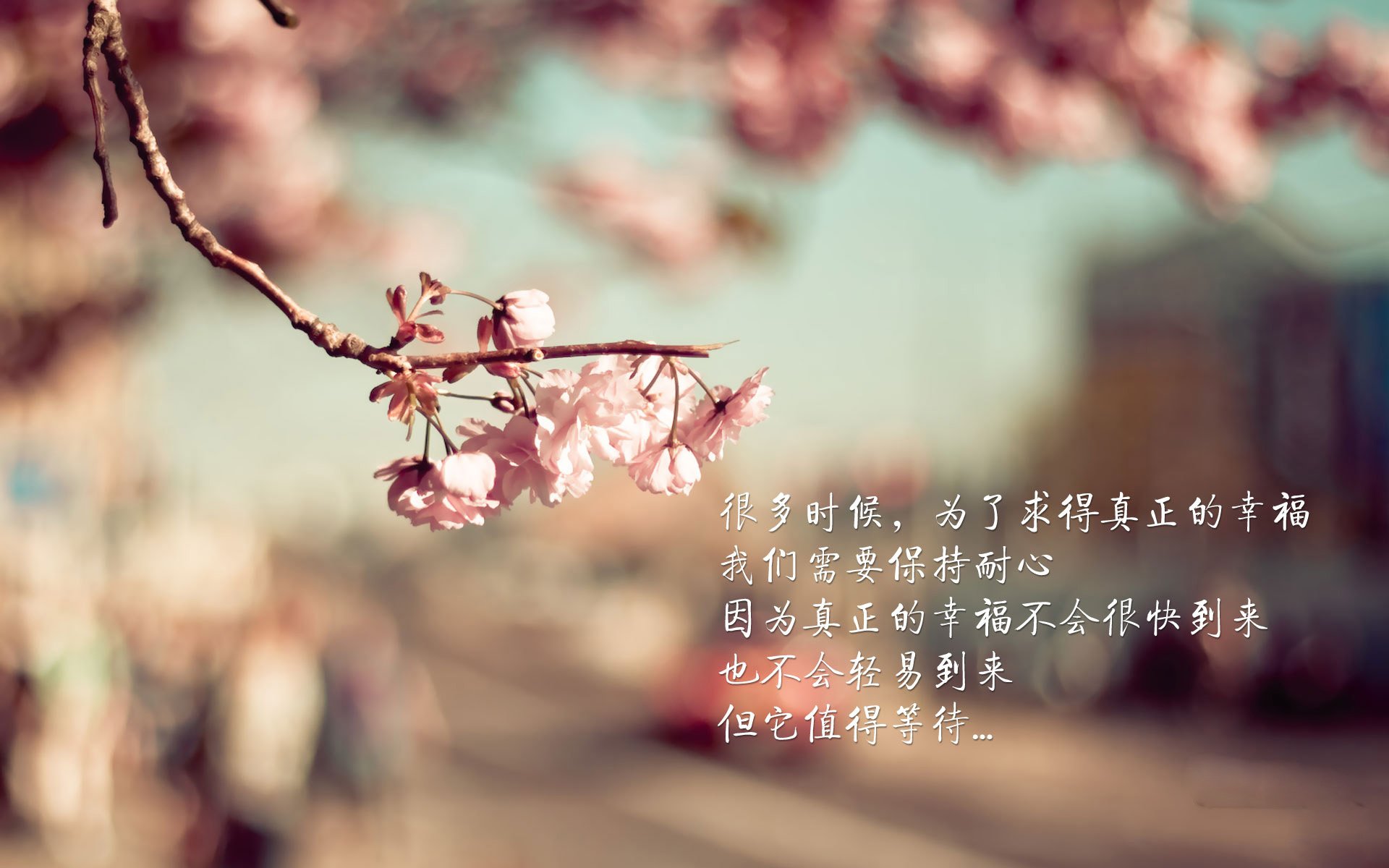 乐鱼电竞在线平台-一线明星助阵，点燃现场气氛，一线明星榜
