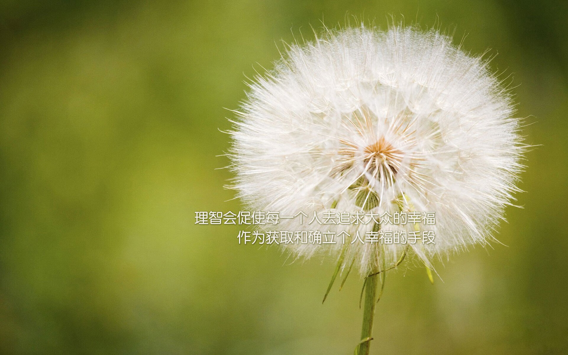 乐鱼电竞在线平台登录入口-勇士射手群三分火力全开，勇士队三分投手
