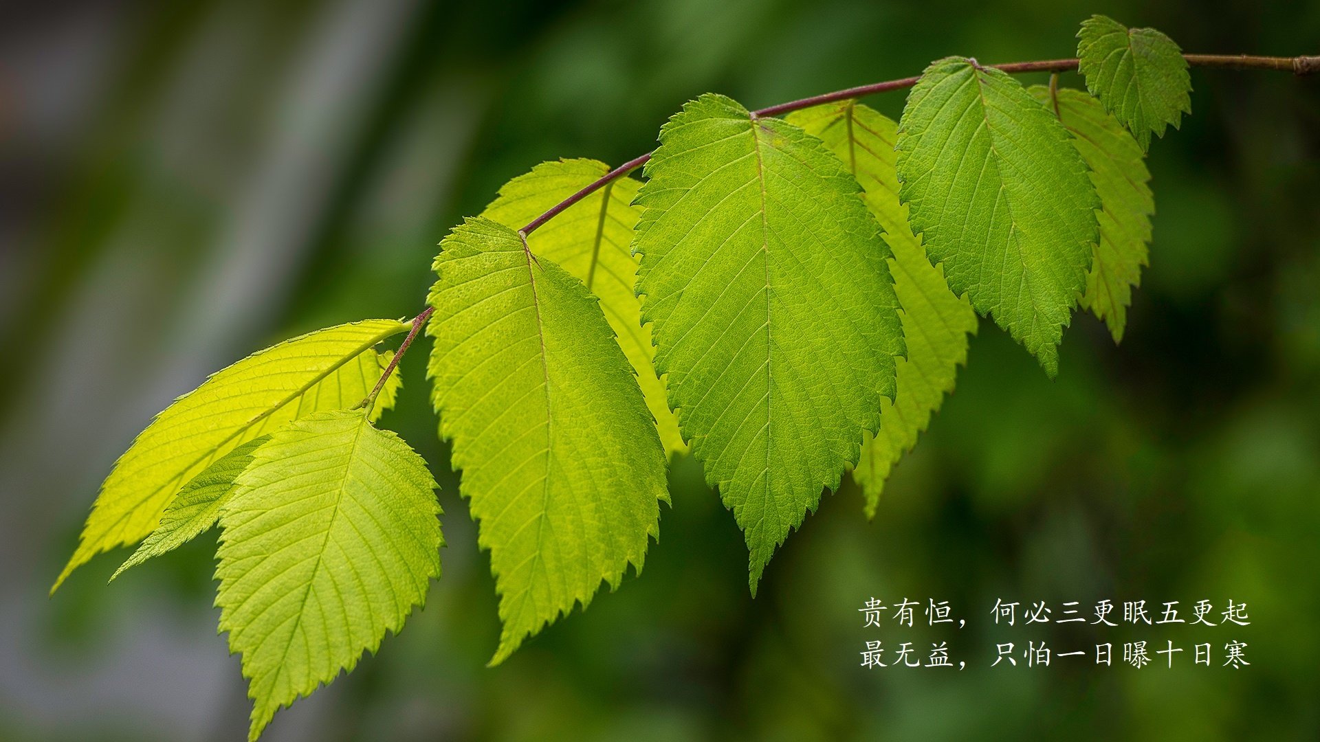 Leyu Sport登录入口-拉脱维亚队发起疯狂反击，力求逆袭，拉脱维亚简介一下