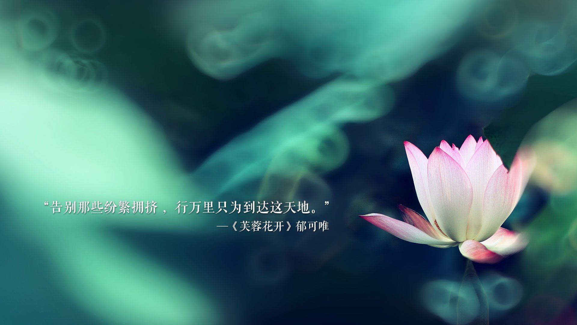 篮球运动公益项目现状，篮球公益课程方案