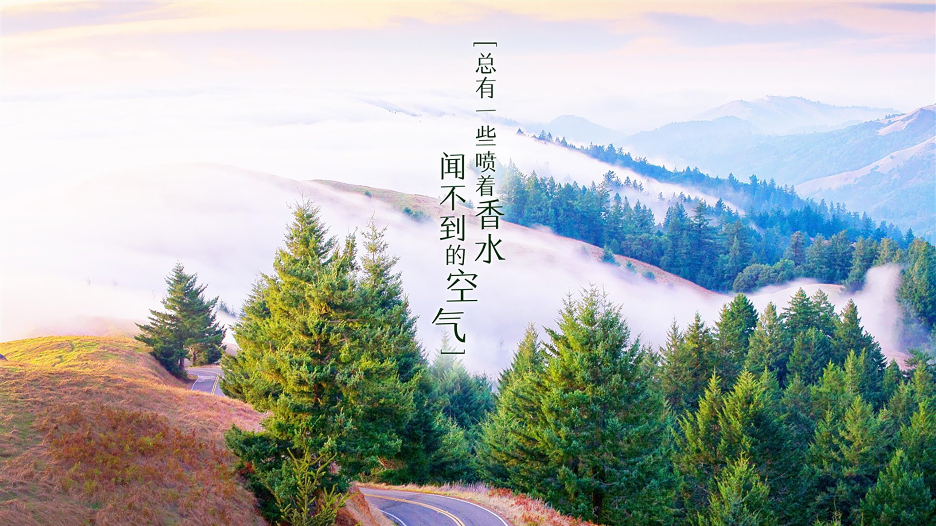 联盟是否应支持球员参与艺术创作，联盟是否应支持球员参与艺术创作活动