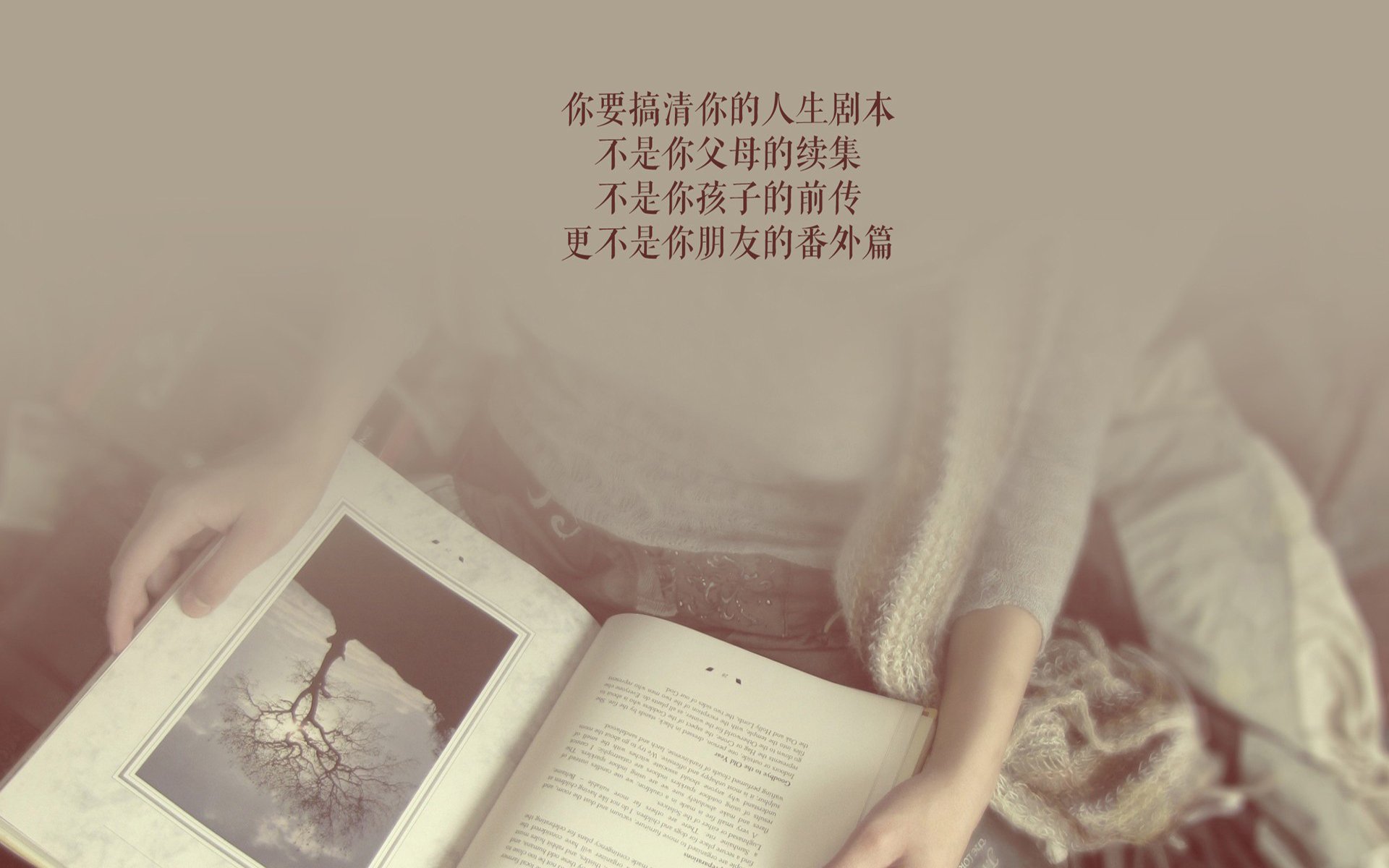 乐鱼vip-博卡青年防守端出现漏洞，被本菲卡抓住，博卡青年队主场在哪儿