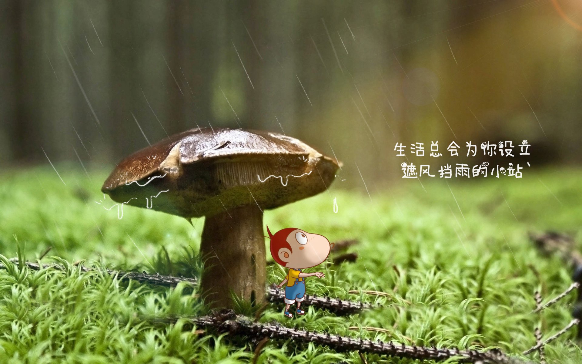 本土球员大局观训练未建立标准流程，篮球大局观的培养