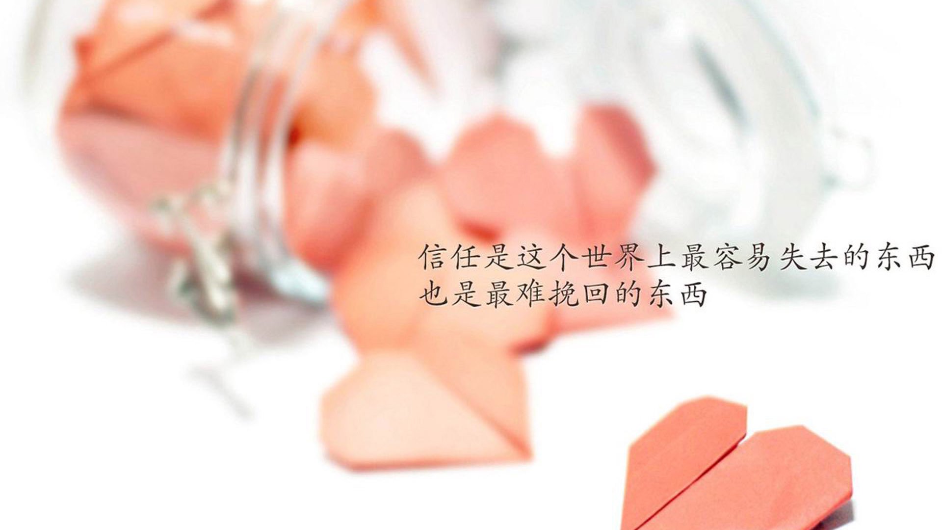 APP下载 LY Sports-瑞典乒乓队迎来新希望，选手实力上升，瑞典乒乓球国家队队员