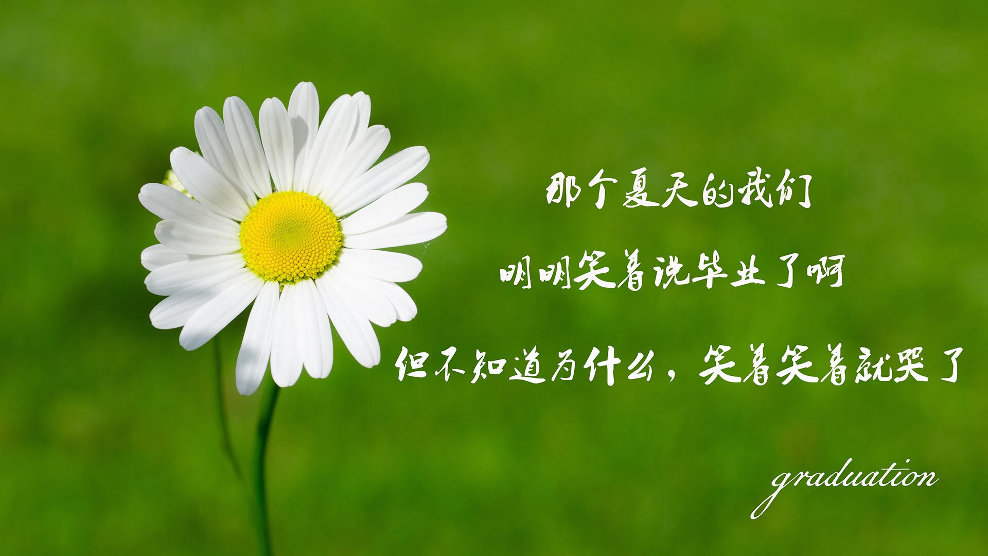 乐鱼官方登录入口-凯莉·麦基翁女子200米仰泳决赛精彩亮相，美国游泳麦基翁