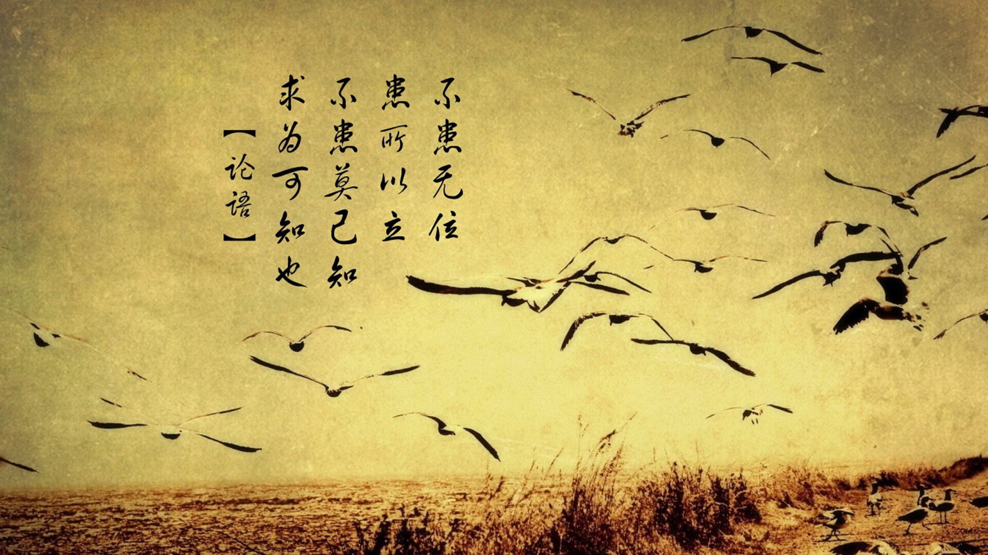 下载乐鱼体育APP-达里尔·基：凭借坚实的防守技术，他成为全黑队不可或缺的一员
