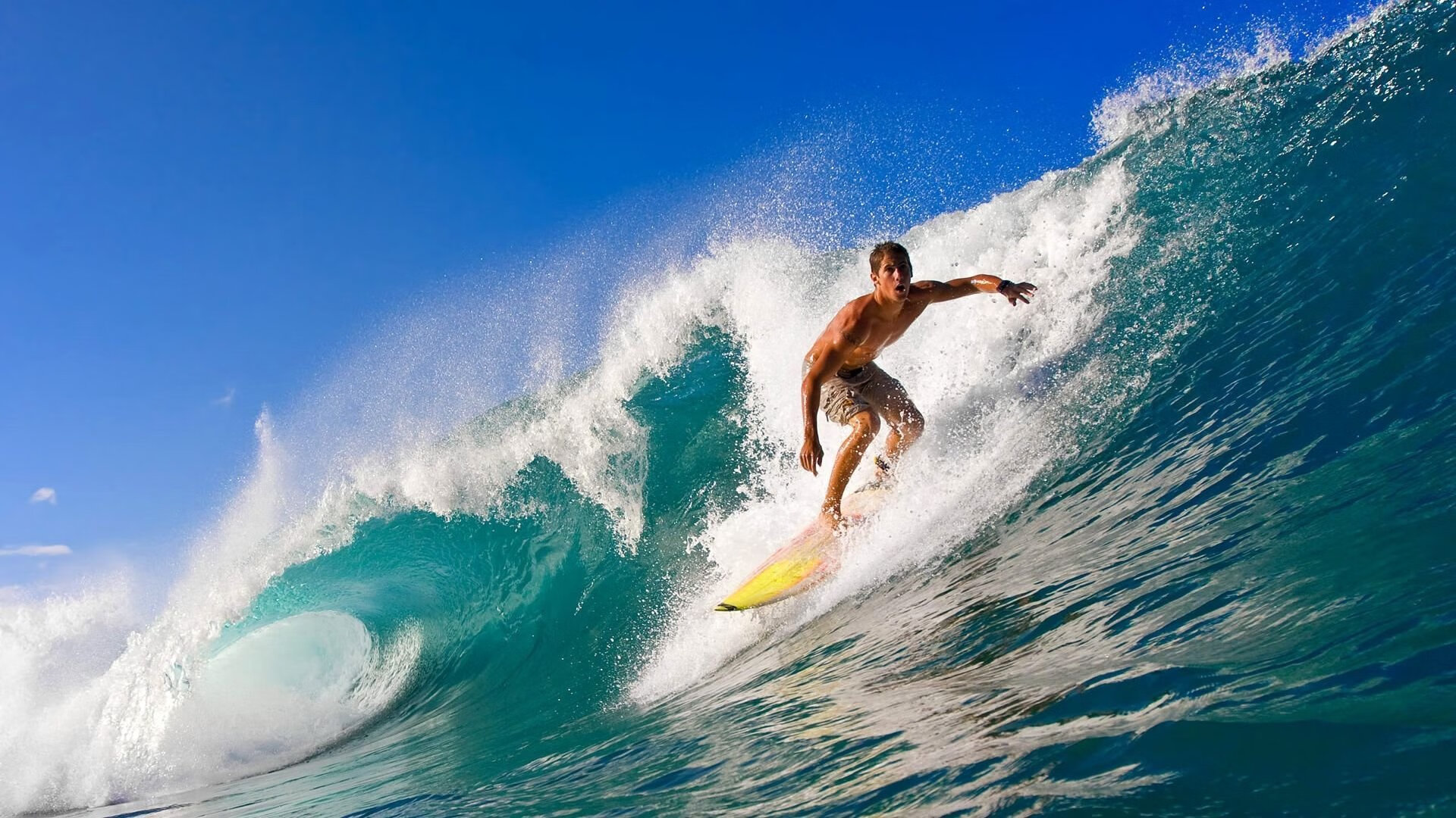 乐鱼体育平台官网-青训体系评估机制以技术数据为导向，青训制度